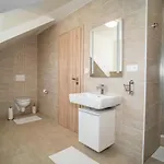 Apartmanovy Dum Sklipek شقة *