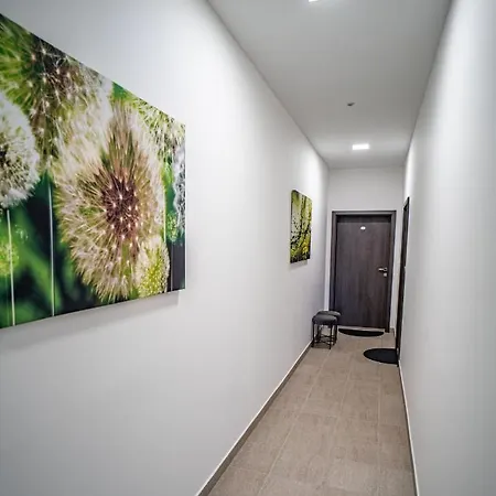 Apartmanovy Dum Sklipek 特鲁特诺夫