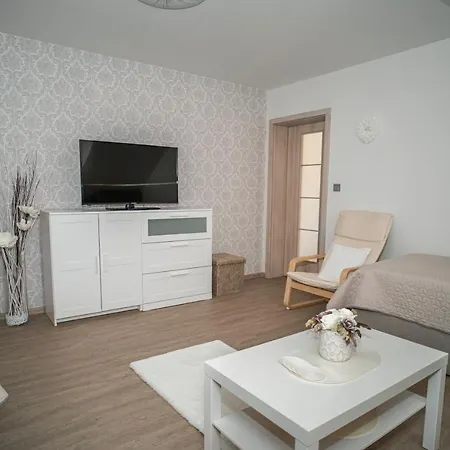 公寓 Apartmanovy Dum Sklipek 特鲁特诺夫