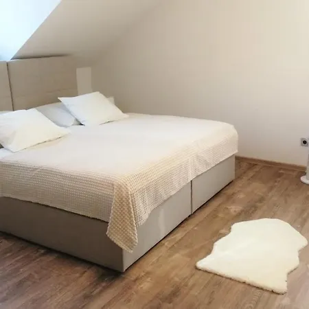 Apartmanovy Dum Sklipek * 特鲁特诺夫