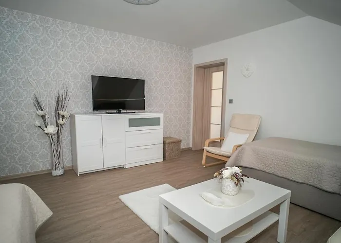 公寓 Apartmanovy Dum Sklipek 特鲁特诺夫