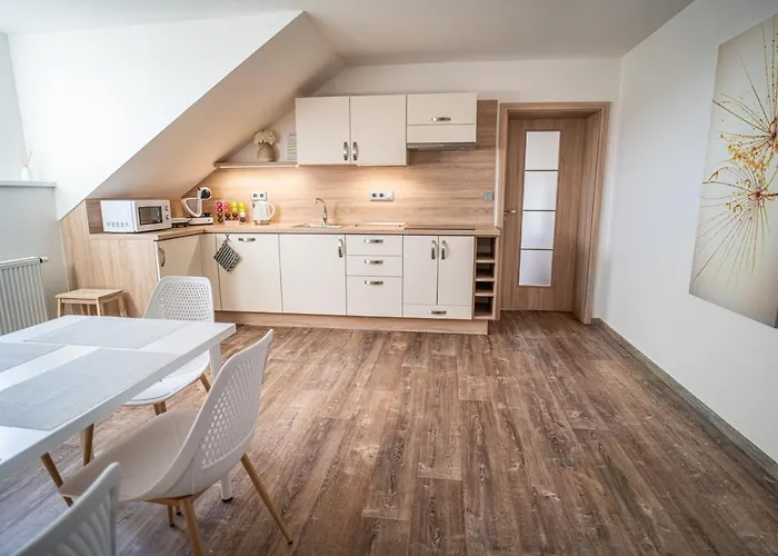 Apartmanovy Dum Sklipek 公寓 *